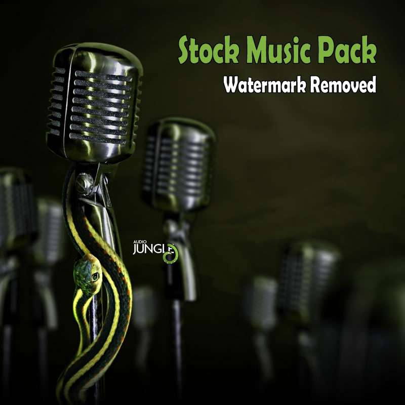 Audiojungle - Stock Music Pack (Watermark Removed) (WAV, MP3  16 bit  320 – 307.jpg