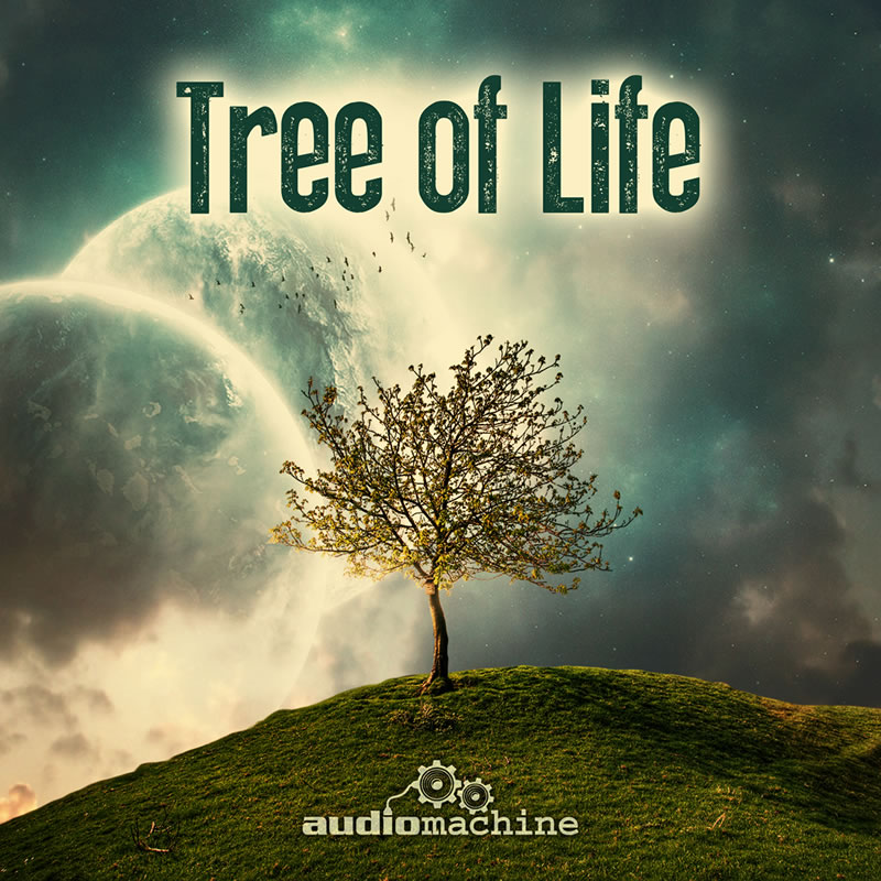 (2013) - Tree of Life cover.jpg